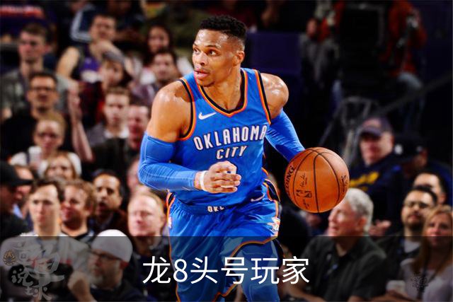 龙8头号玩家公司简介